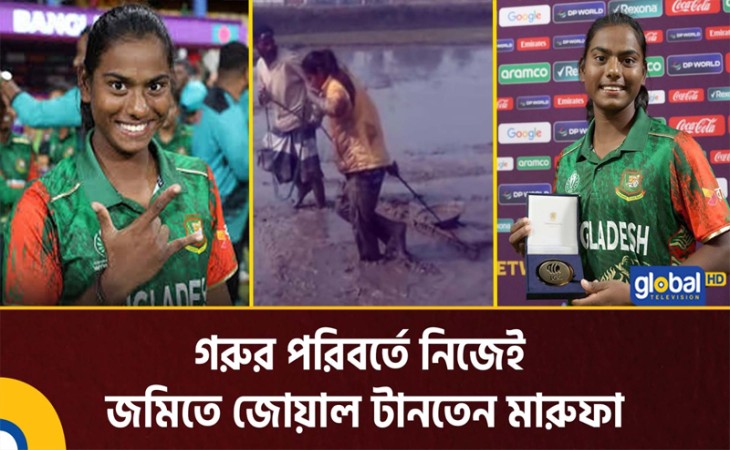 গরুর পরিবর্তে নিজেই জমিতে জোয়াল টানতেন মারুফা