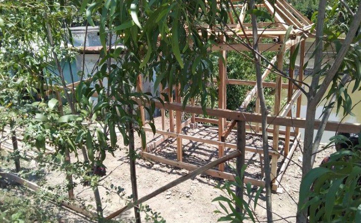বাগেরহাটে বন বিভাগের গাছ কেটে ঘর নির্মাণের চেষ্টা