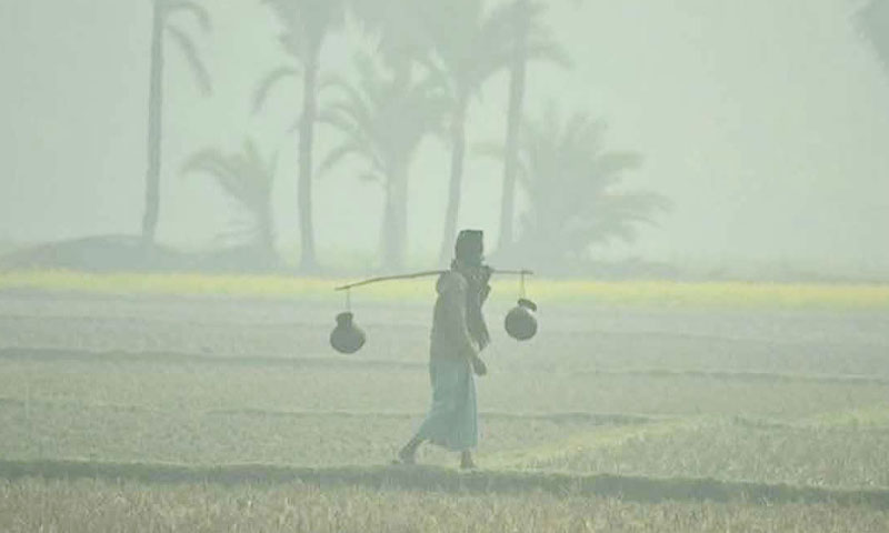 দেশের ১৭ জেলার ওপর দিয়ে বইছে শৈত্যপ্রবাহ, ঘন কুয়াশার সম্ভাবনা