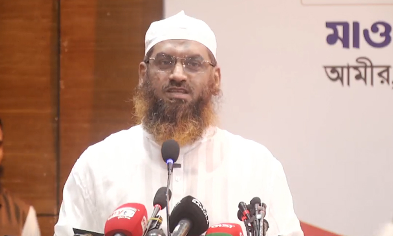 বর্তমান সরকারকে শেখ হাসিনার ভূতে ধরেছে: মামুনুল হক