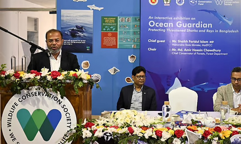 বিষ দিয়ে মাছ শিকার করলে নিজের ভাইকেও ছাড় দেব না: পরিবেশ প্রতিমন্ত্রী