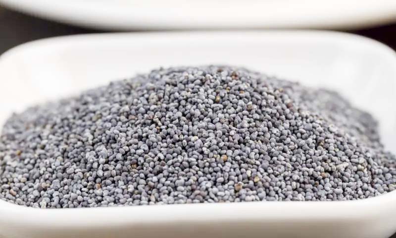 পাকিস্তান থেকে পাখির খাদ্য বলে আনা হলো নিষিদ্ধ পপি সিড