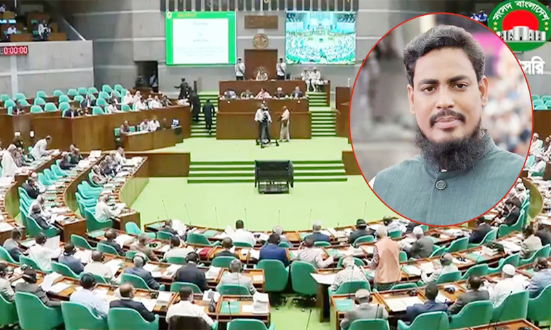 সরকারি দল শুধু নোট অব ডিসেন্টকে অক্ষরে অক্ষরে পালন করতে চায়