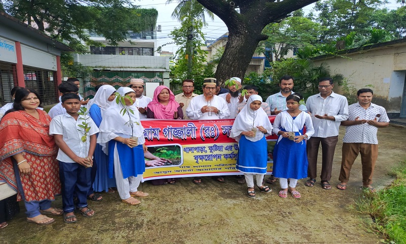 কুষ্টিয়ায় ইমাম গাজ্জালী সংস্থার গাছের চারা বিতরণ 