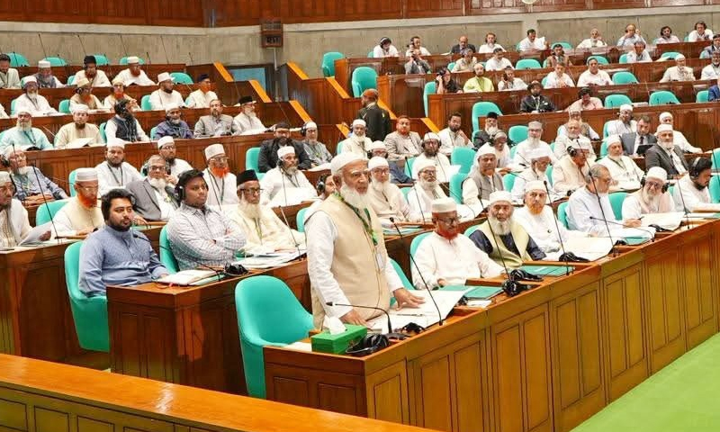 সরকারি দলের সদস্যরা হয়তো খুব মেধাবী, তাই কাগজ দেখেই সব বুঝে ফেলেছে