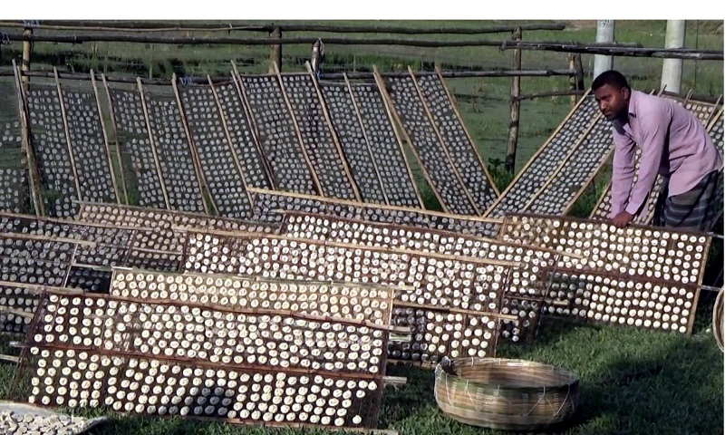 পুঁজির অভাবে হুমকির মুখে নওগাঁর ঐতিহ্যবাহী কুমড়ো বড়ি 