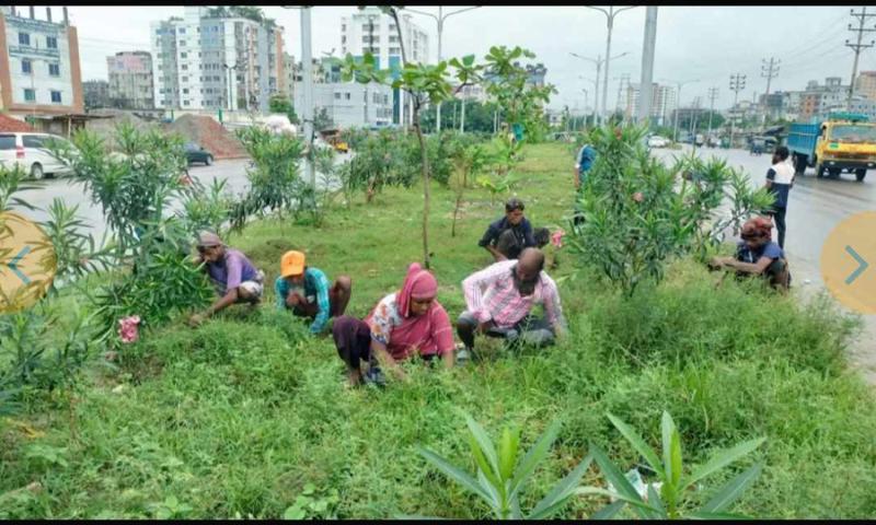 ‘গ্রিন এন্ড ক্লিন নারায়ণগঞ্জ’ বাস্তবায়নে তৎপর জেলা প্রশাসক