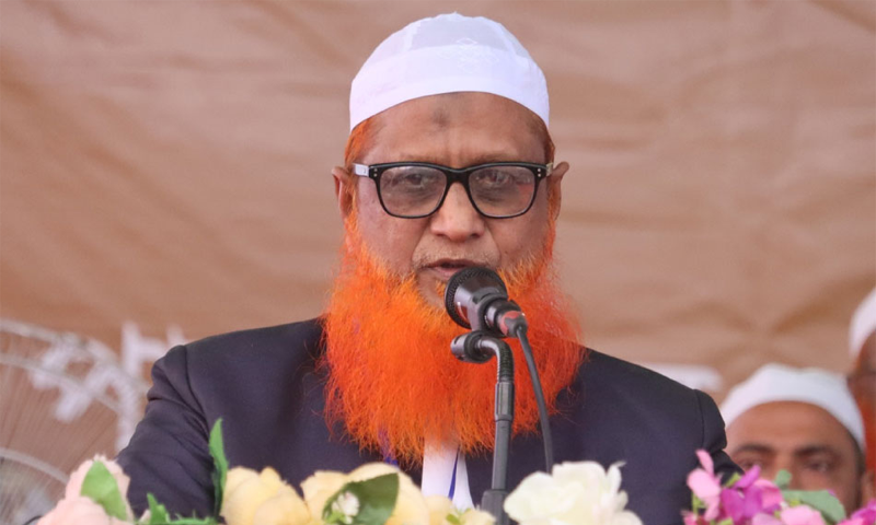 এই রায় দেশে স্বৈরতন্ত্র রোধে মাইলফলক হয়ে থাকবে:  ইউনুস আহমদ